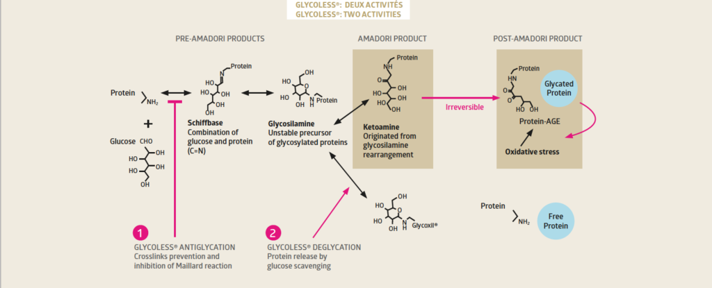 Molecular ageing of proteins