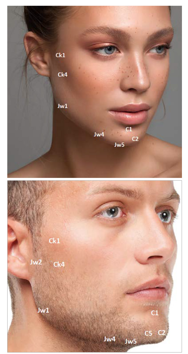 Perfect facial contours with the 7/9 PointShape Anti Age Magazine